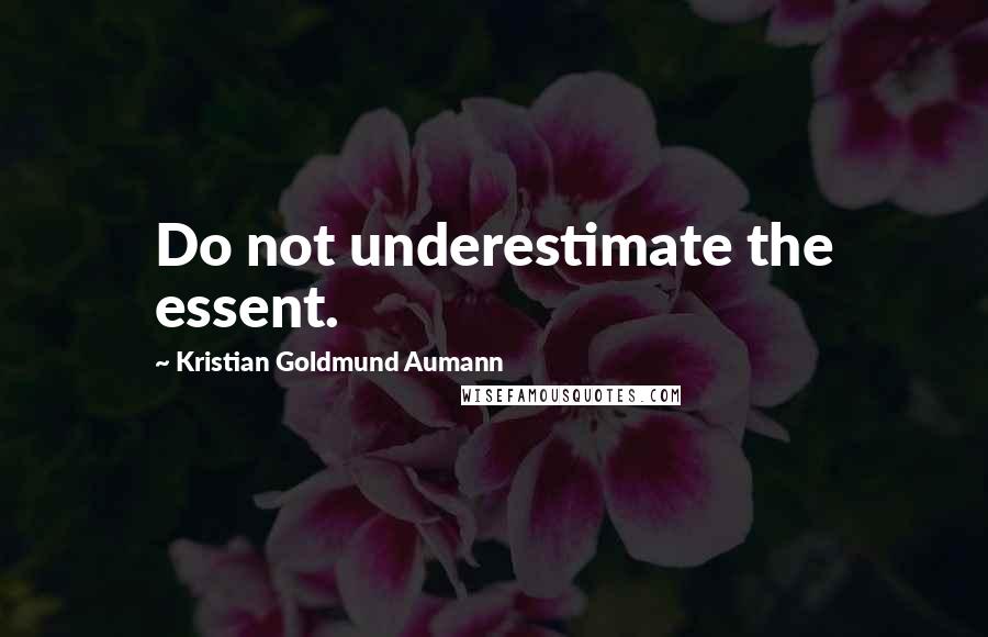Kristian Goldmund Aumann Quotes: Do not underestimate the essent.