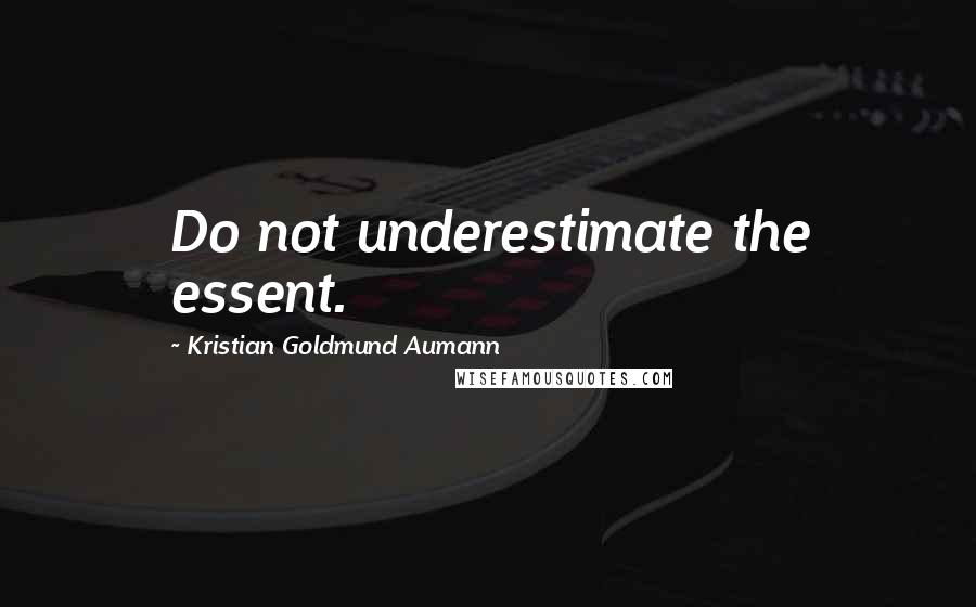 Kristian Goldmund Aumann Quotes: Do not underestimate the essent.