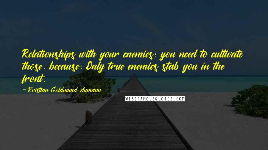 Kristian Goldmund Aumann Quotes: Relationships with your enemies; you need to cultivate those, because: Only true enemies stab you in the front.