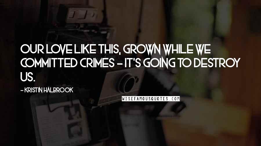 Kristin Halbrook Quotes: Our love like this, grown while we committed crimes - it's going to destroy us.