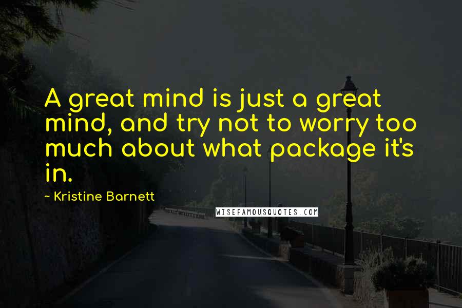 Kristine Barnett Quotes: A great mind is just a great mind, and try not to worry too much about what package it's in.