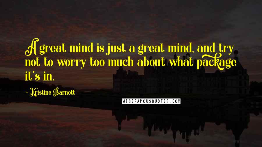 Kristine Barnett Quotes: A great mind is just a great mind, and try not to worry too much about what package it's in.