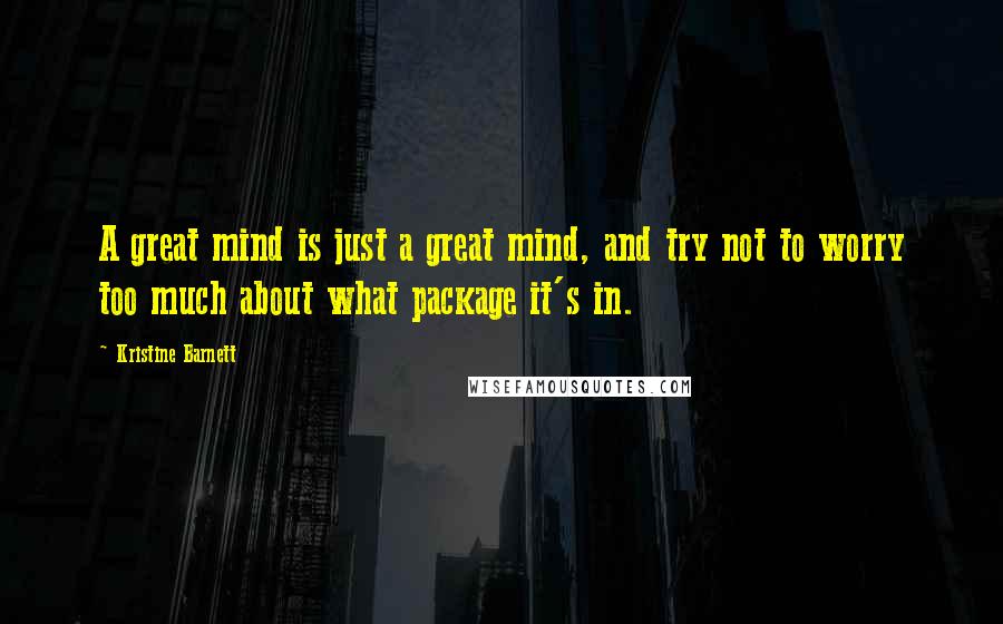 Kristine Barnett Quotes: A great mind is just a great mind, and try not to worry too much about what package it's in.