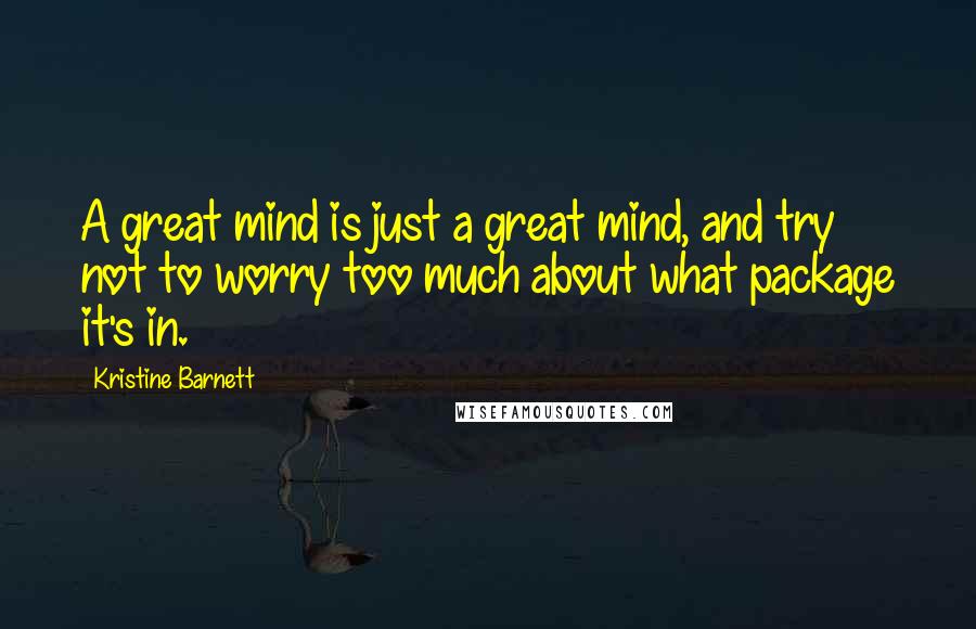 Kristine Barnett Quotes: A great mind is just a great mind, and try not to worry too much about what package it's in.