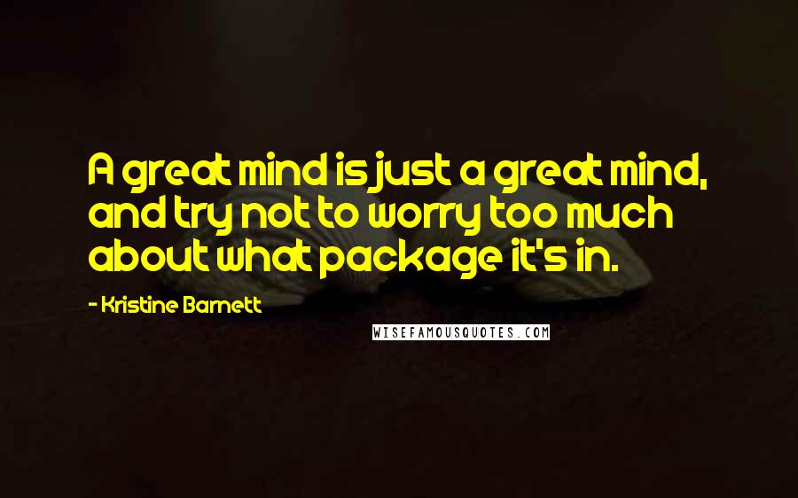 Kristine Barnett Quotes: A great mind is just a great mind, and try not to worry too much about what package it's in.