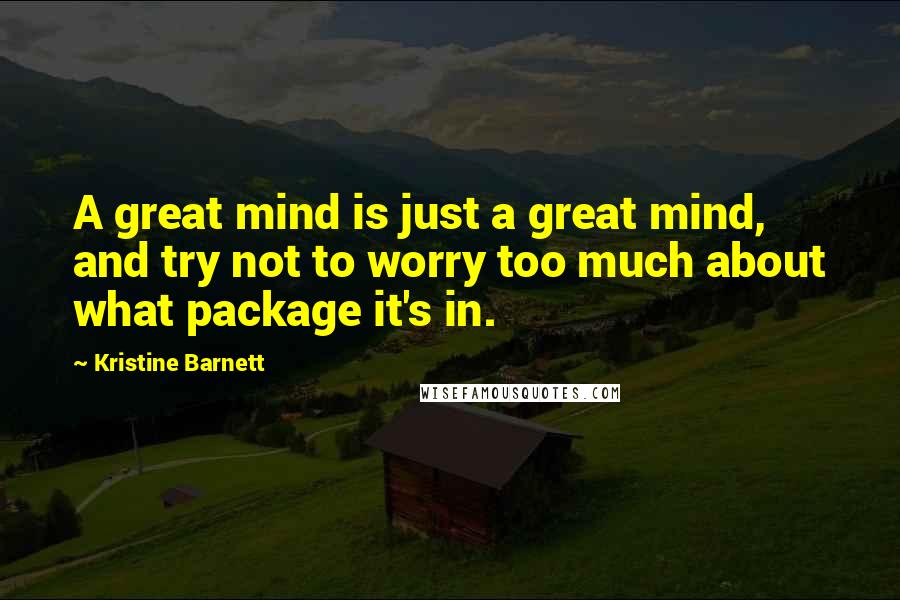 Kristine Barnett Quotes: A great mind is just a great mind, and try not to worry too much about what package it's in.