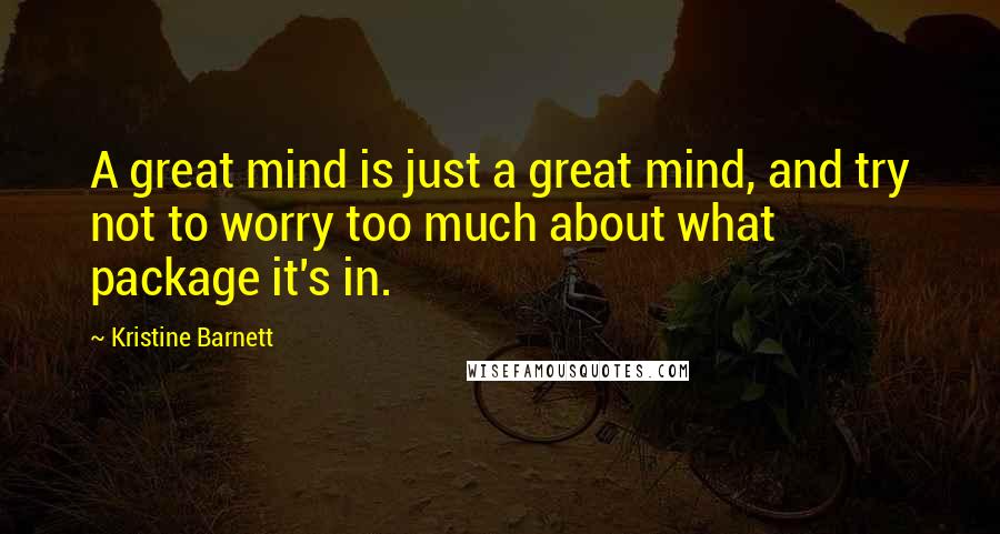 Kristine Barnett Quotes: A great mind is just a great mind, and try not to worry too much about what package it's in.