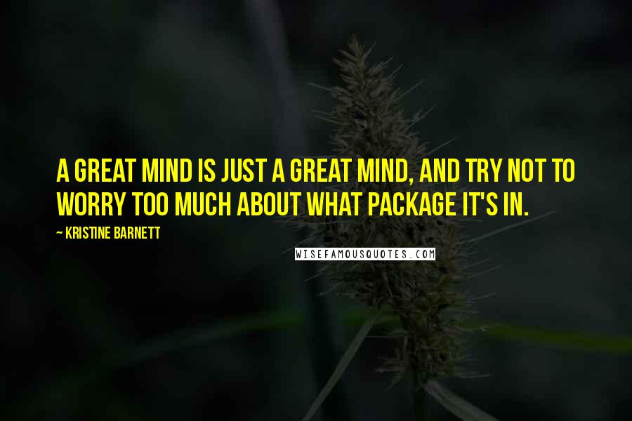 Kristine Barnett Quotes: A great mind is just a great mind, and try not to worry too much about what package it's in.