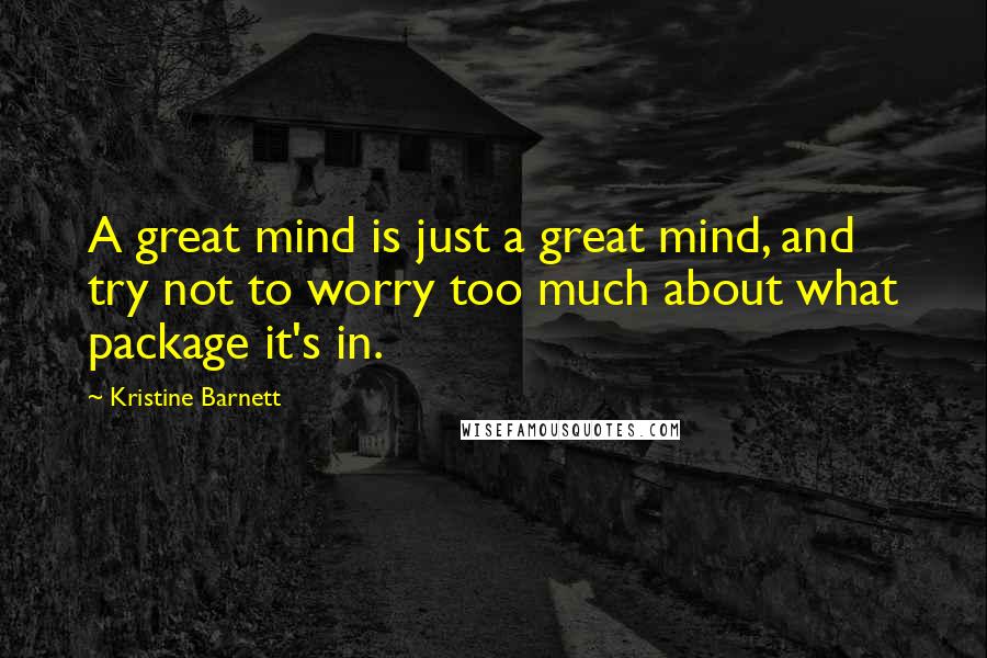 Kristine Barnett Quotes: A great mind is just a great mind, and try not to worry too much about what package it's in.