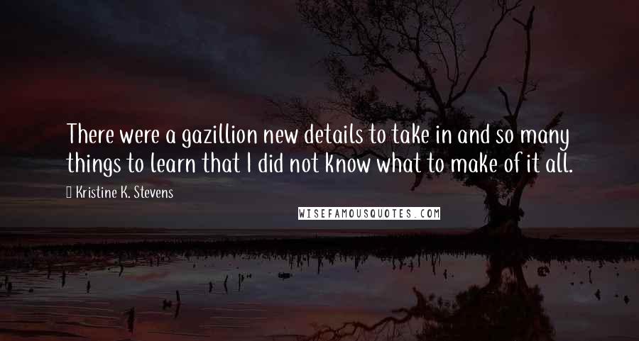 Kristine K. Stevens Quotes: There were a gazillion new details to take in and so many things to learn that I did not know what to make of it all.