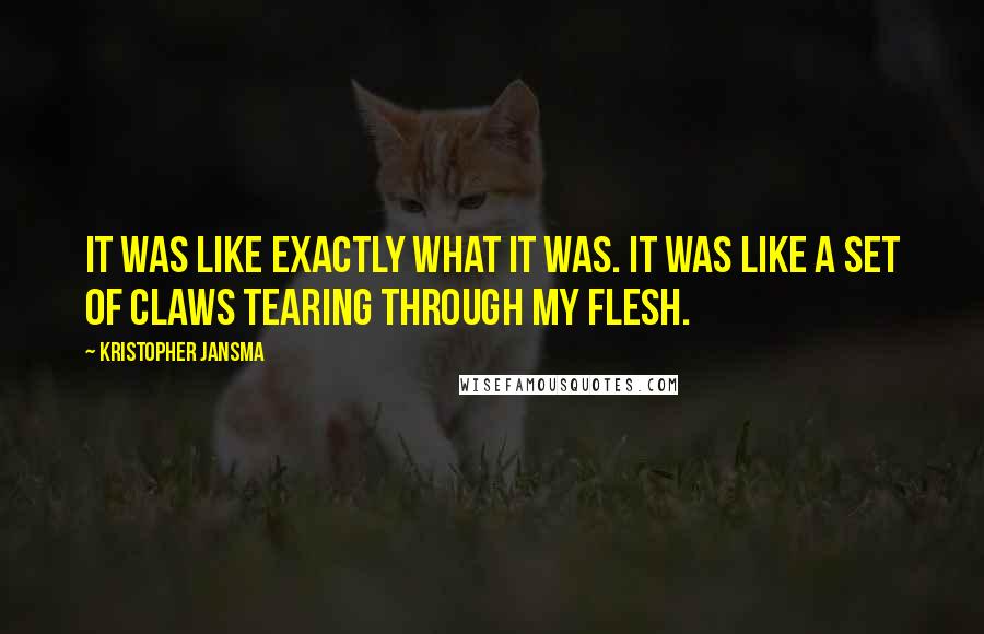 Kristopher Jansma Quotes: It was like exactly what it was. It was like a set of claws tearing through my flesh.