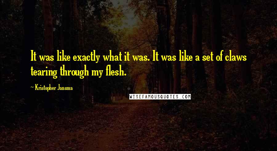 Kristopher Jansma Quotes: It was like exactly what it was. It was like a set of claws tearing through my flesh.