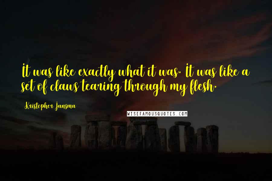 Kristopher Jansma Quotes: It was like exactly what it was. It was like a set of claws tearing through my flesh.