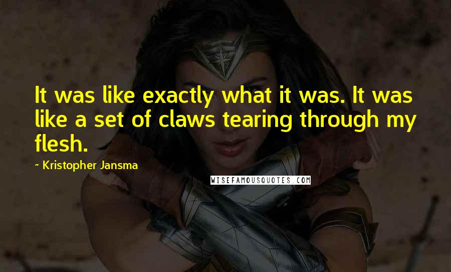 Kristopher Jansma Quotes: It was like exactly what it was. It was like a set of claws tearing through my flesh.