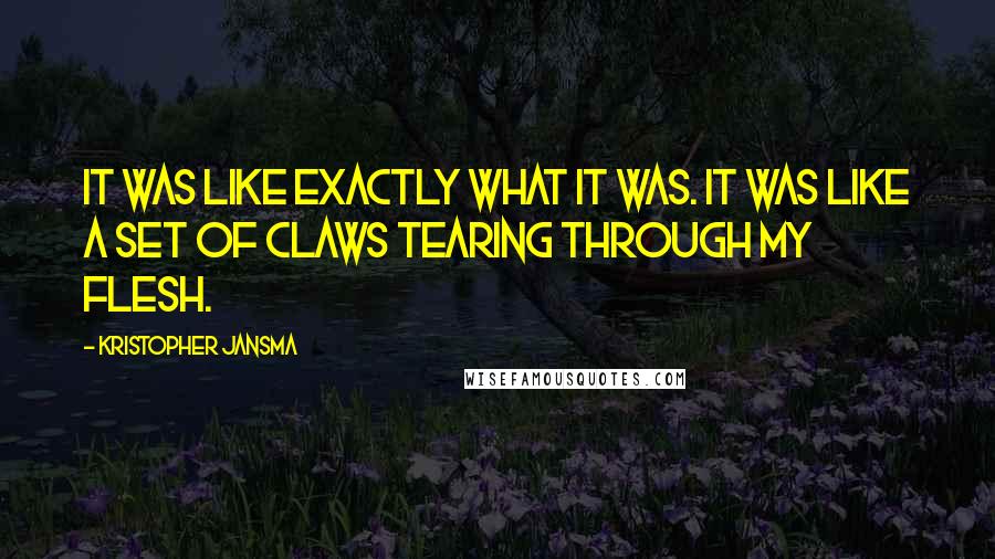 Kristopher Jansma Quotes: It was like exactly what it was. It was like a set of claws tearing through my flesh.