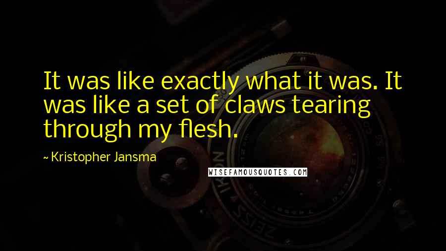 Kristopher Jansma Quotes: It was like exactly what it was. It was like a set of claws tearing through my flesh.