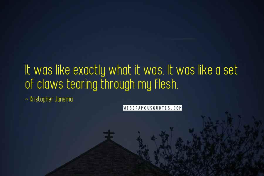Kristopher Jansma Quotes: It was like exactly what it was. It was like a set of claws tearing through my flesh.