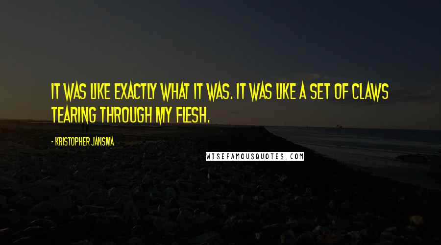 Kristopher Jansma Quotes: It was like exactly what it was. It was like a set of claws tearing through my flesh.