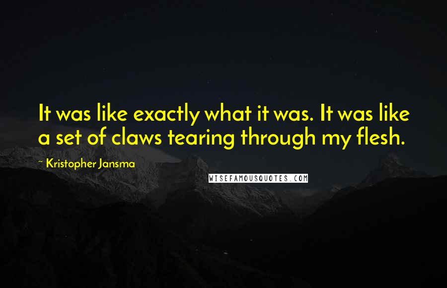 Kristopher Jansma Quotes: It was like exactly what it was. It was like a set of claws tearing through my flesh.