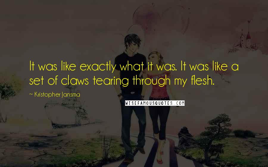 Kristopher Jansma Quotes: It was like exactly what it was. It was like a set of claws tearing through my flesh.