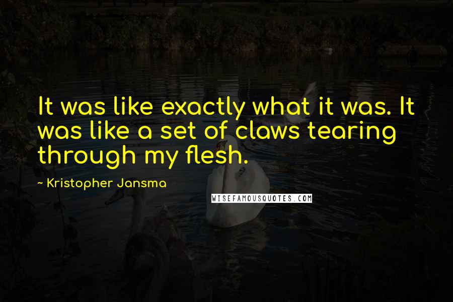 Kristopher Jansma Quotes: It was like exactly what it was. It was like a set of claws tearing through my flesh.