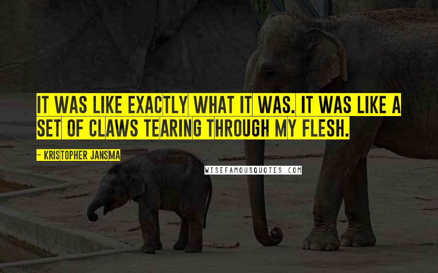 Kristopher Jansma Quotes: It was like exactly what it was. It was like a set of claws tearing through my flesh.