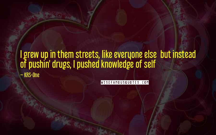 KRS-One Quotes: I grew up in them streets, like everyone else but instead of pushin' drugs, I pushed knowledge of self