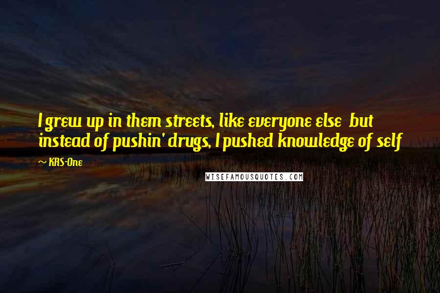 KRS-One Quotes: I grew up in them streets, like everyone else but instead of pushin' drugs, I pushed knowledge of self