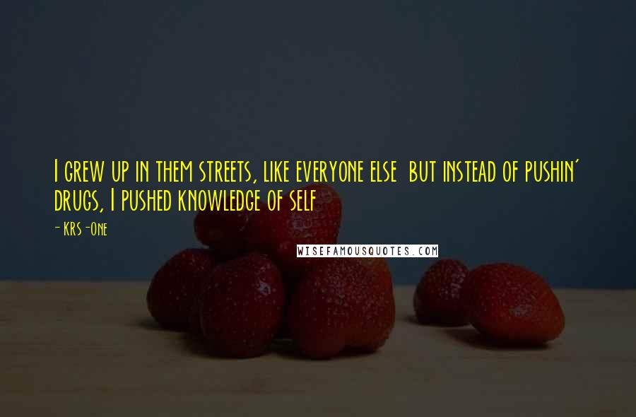 KRS-One Quotes: I grew up in them streets, like everyone else but instead of pushin' drugs, I pushed knowledge of self