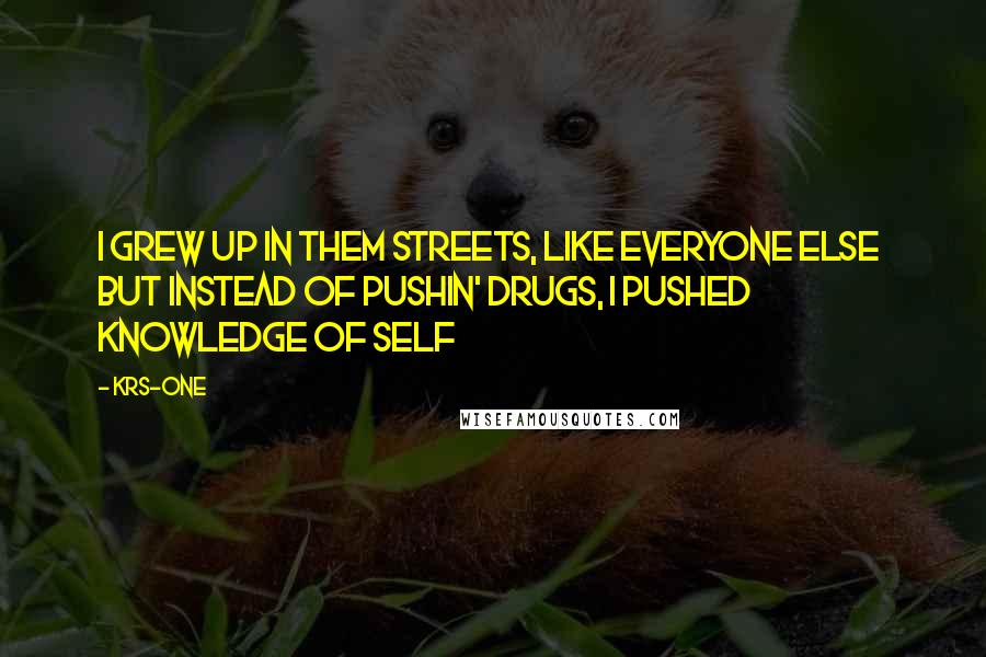 KRS-One Quotes: I grew up in them streets, like everyone else but instead of pushin' drugs, I pushed knowledge of self