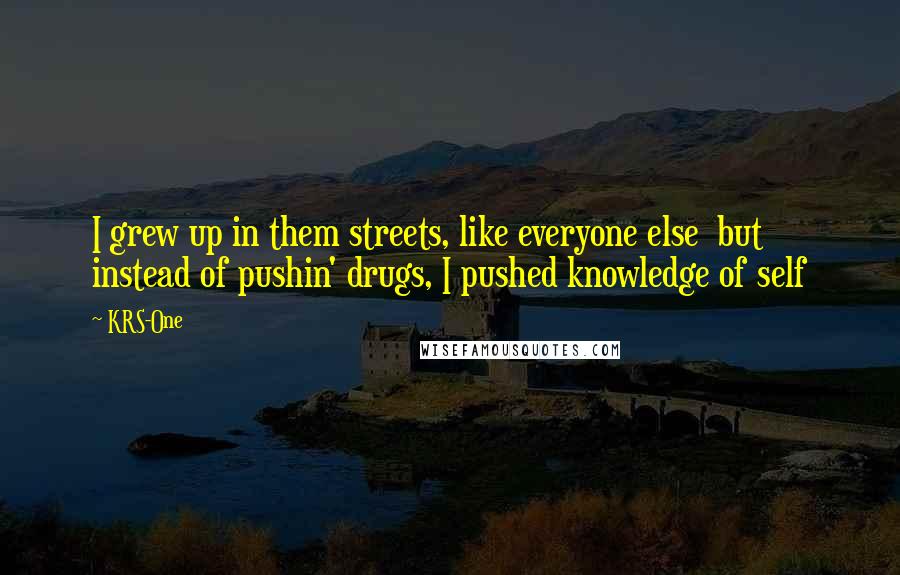 KRS-One Quotes: I grew up in them streets, like everyone else but instead of pushin' drugs, I pushed knowledge of self