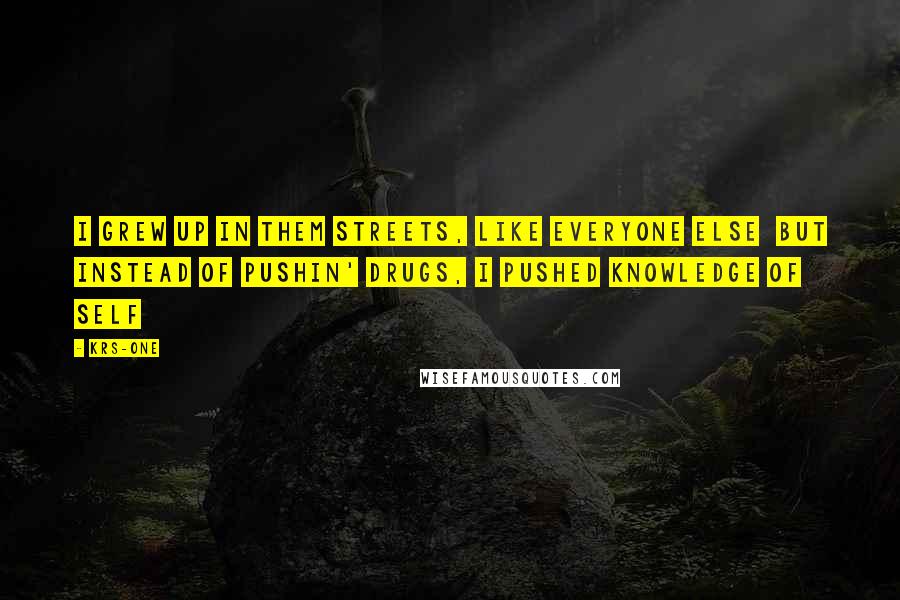 KRS-One Quotes: I grew up in them streets, like everyone else but instead of pushin' drugs, I pushed knowledge of self