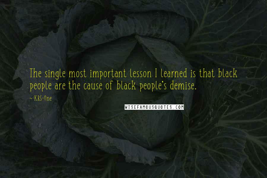 KRS-One Quotes: The single most important lesson I learned is that black people are the cause of black people's demise.