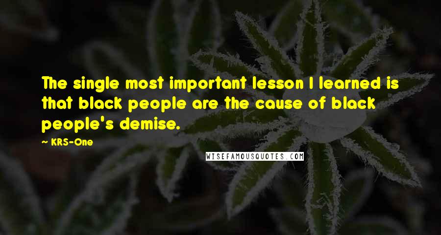 KRS-One Quotes: The single most important lesson I learned is that black people are the cause of black people's demise.