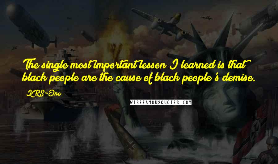 KRS-One Quotes: The single most important lesson I learned is that black people are the cause of black people's demise.