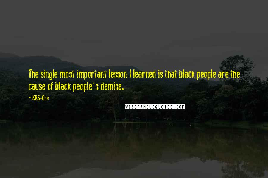 KRS-One Quotes: The single most important lesson I learned is that black people are the cause of black people's demise.