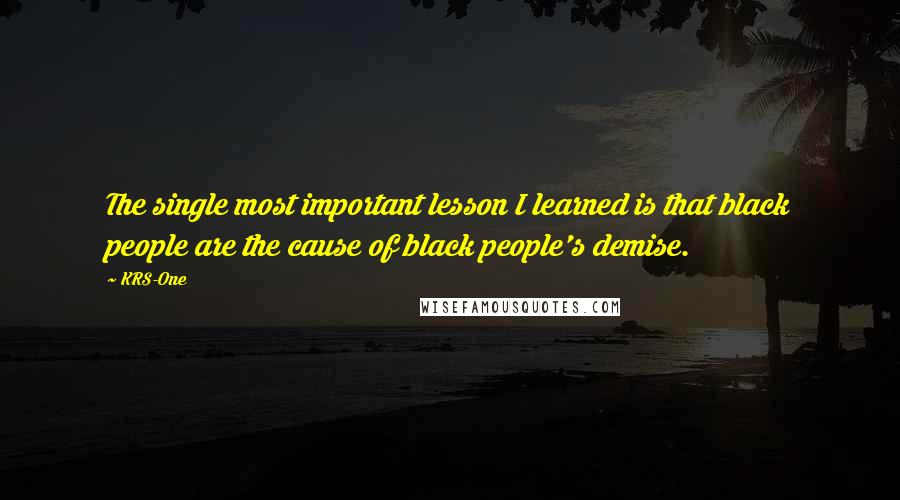 KRS-One Quotes: The single most important lesson I learned is that black people are the cause of black people's demise.