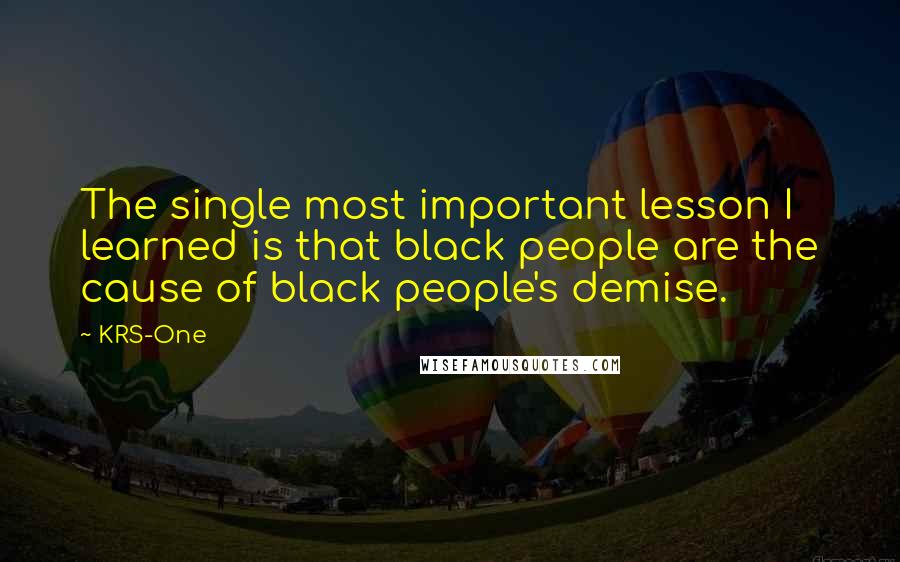 KRS-One Quotes: The single most important lesson I learned is that black people are the cause of black people's demise.