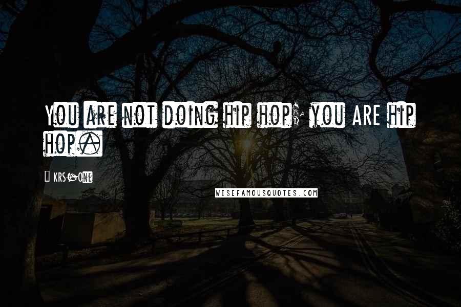 KRS-One Quotes: You are not doing hip hop; you ARE hip hop.