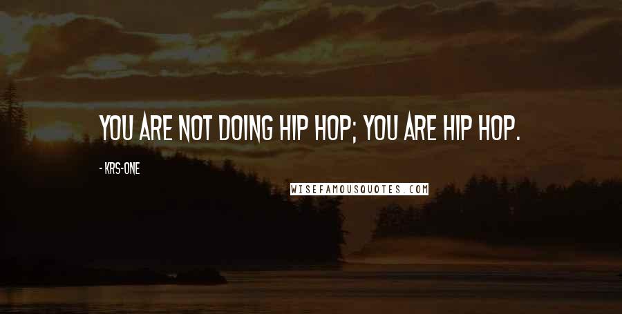 KRS-One Quotes: You are not doing hip hop; you ARE hip hop.
