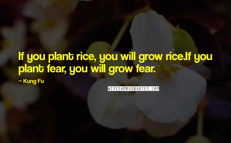 Kung Fu Quotes: If you plant rice, you will grow rice.If you plant fear, you will grow fear.