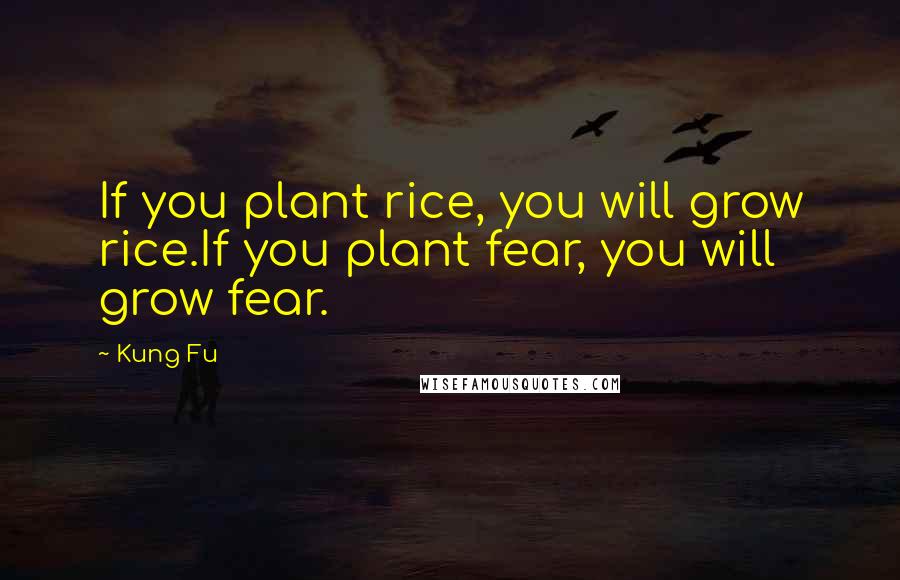 Kung Fu Quotes: If you plant rice, you will grow rice.If you plant fear, you will grow fear.