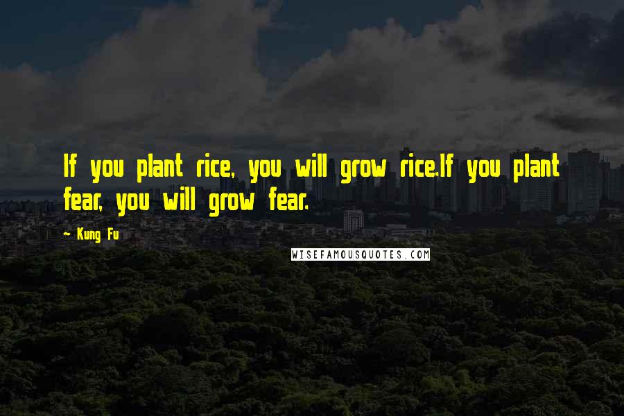 Kung Fu Quotes: If you plant rice, you will grow rice.If you plant fear, you will grow fear.