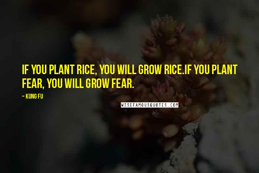 Kung Fu Quotes: If you plant rice, you will grow rice.If you plant fear, you will grow fear.