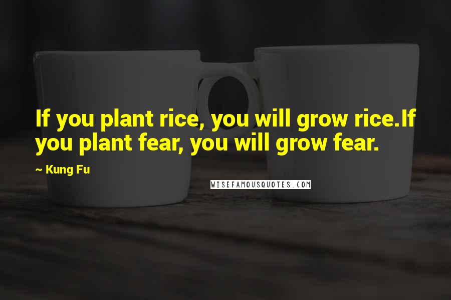 Kung Fu Quotes: If you plant rice, you will grow rice.If you plant fear, you will grow fear.