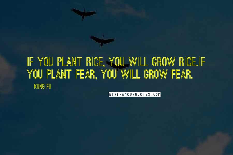 Kung Fu Quotes: If you plant rice, you will grow rice.If you plant fear, you will grow fear.