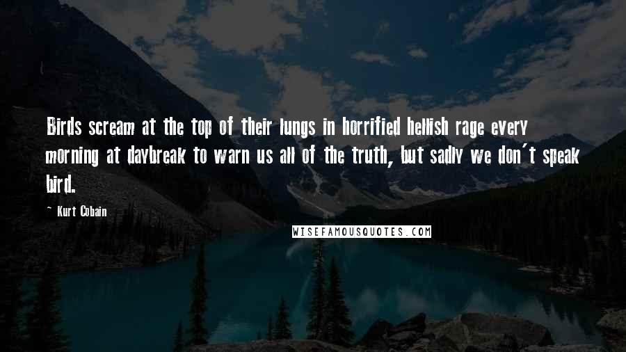 Kurt Cobain Quotes: Birds scream at the top of their lungs in horrified hellish rage every morning at daybreak to warn us all of the truth, but sadly we don't speak bird.