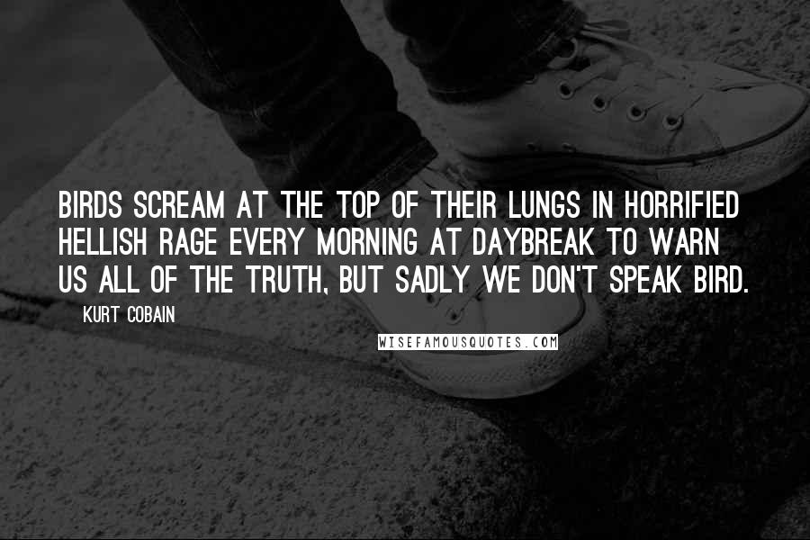 Kurt Cobain Quotes: Birds scream at the top of their lungs in horrified hellish rage every morning at daybreak to warn us all of the truth, but sadly we don't speak bird.