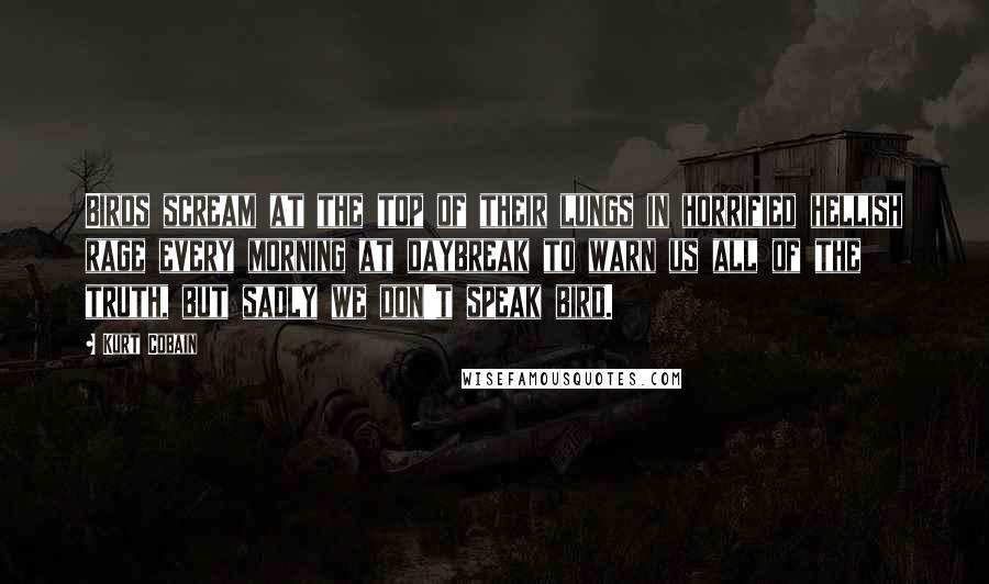 Kurt Cobain Quotes: Birds scream at the top of their lungs in horrified hellish rage every morning at daybreak to warn us all of the truth, but sadly we don't speak bird.