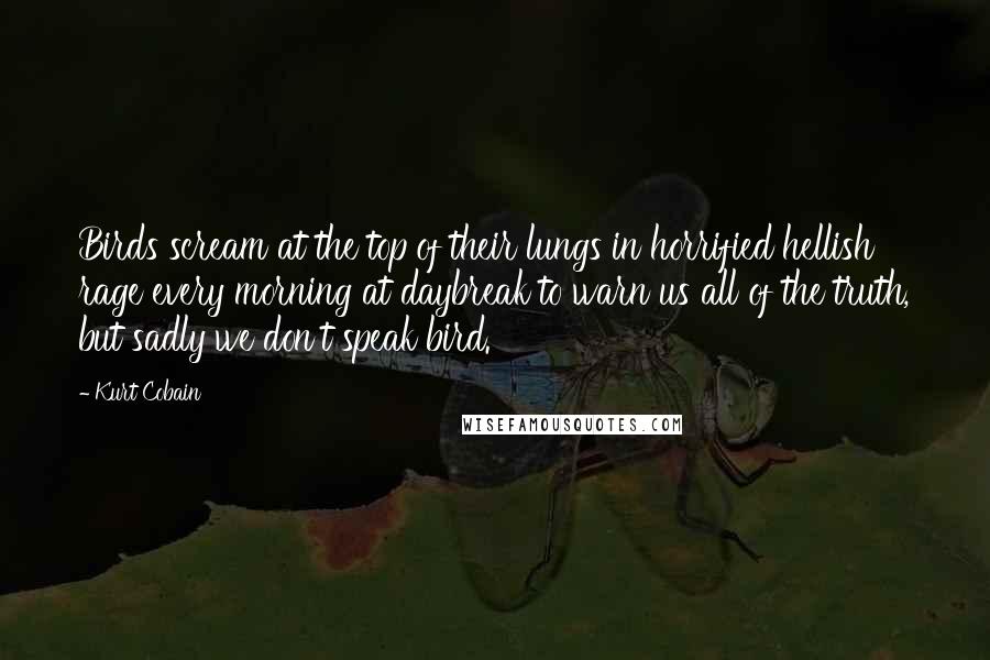 Kurt Cobain Quotes: Birds scream at the top of their lungs in horrified hellish rage every morning at daybreak to warn us all of the truth, but sadly we don't speak bird.